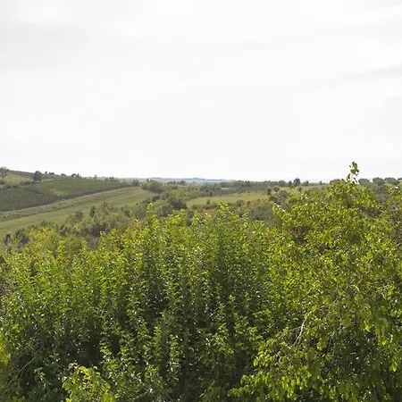 Grobice Brtonigla